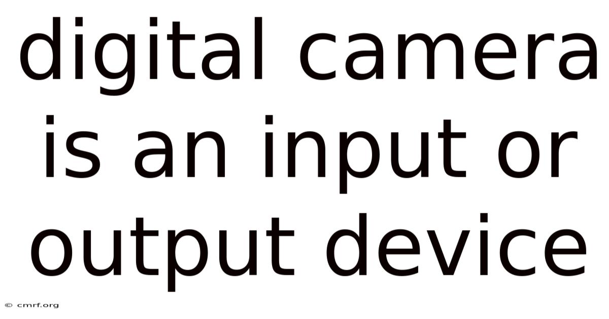 Digital Camera Is An Input Or Output Device